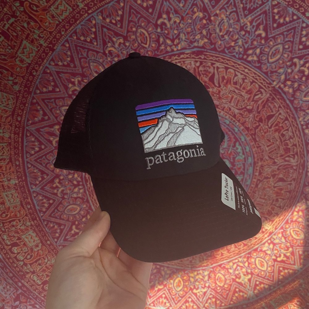 LoPro Patagonia trucker hat